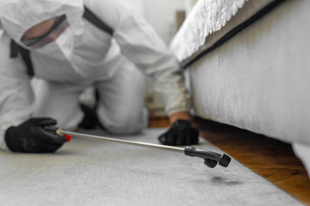 Professional Ant Control technician working in Strathmore, CA