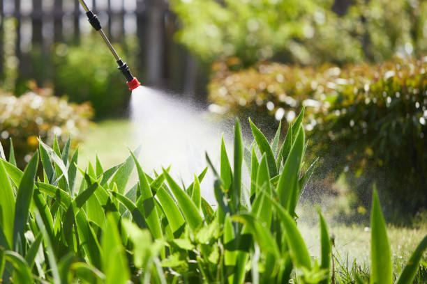 24/7 Emergency Wasp Removal experts in Strathmore, CA