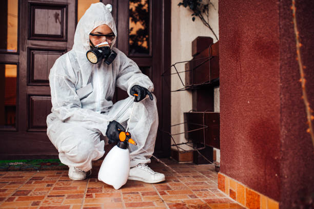 Reliable Wasp Removal contractor in Strathmore, CA by Show Me Pest Control